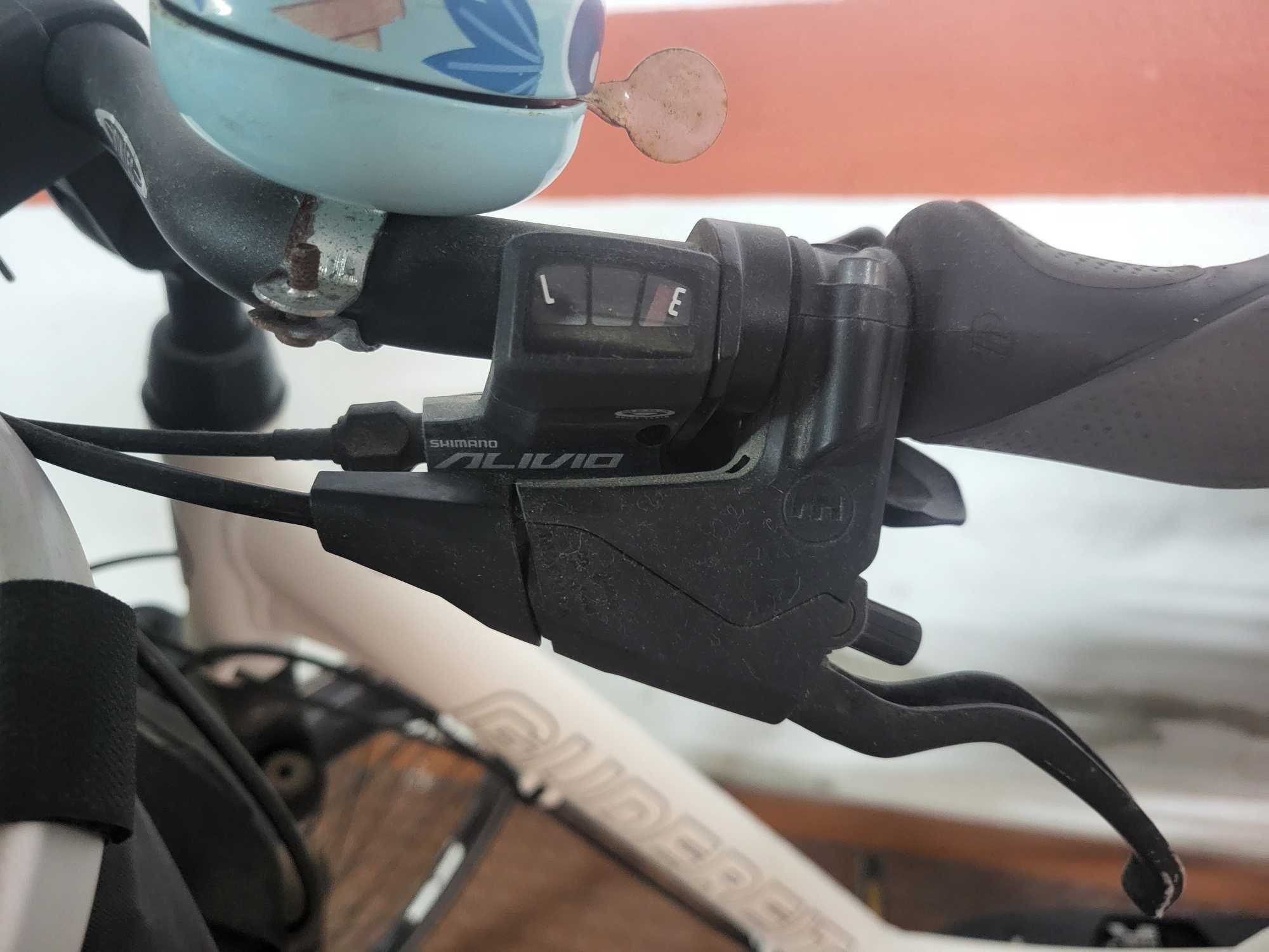 Bicicleta de senhora Guibert