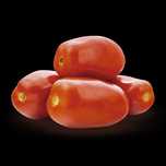 Sementes tomate alongado
