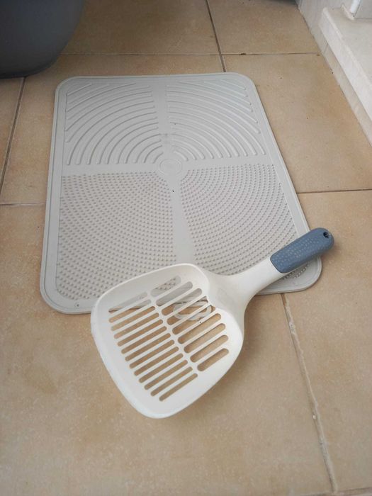 caixa areia para gato grande