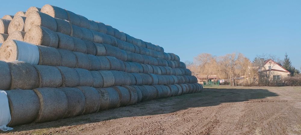 Sprzedam słomę owsianą, jęczmienną i pszenną z 2025r