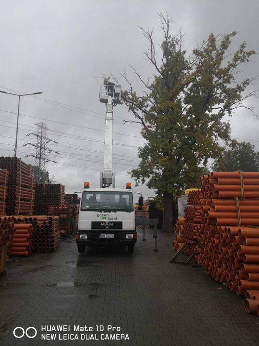 WYCINKA DRZEW, PODNOŚNIK KOSZOWY 26, zrębkowanie gałęzi, rąbanie opału