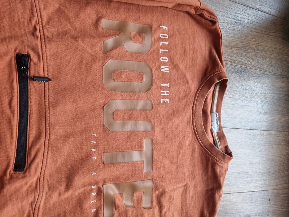 Bluza coccodrillo dla chłopca 146