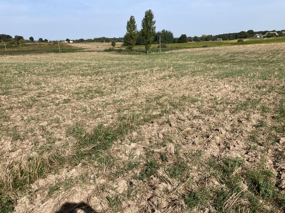 Участок 76 сотих