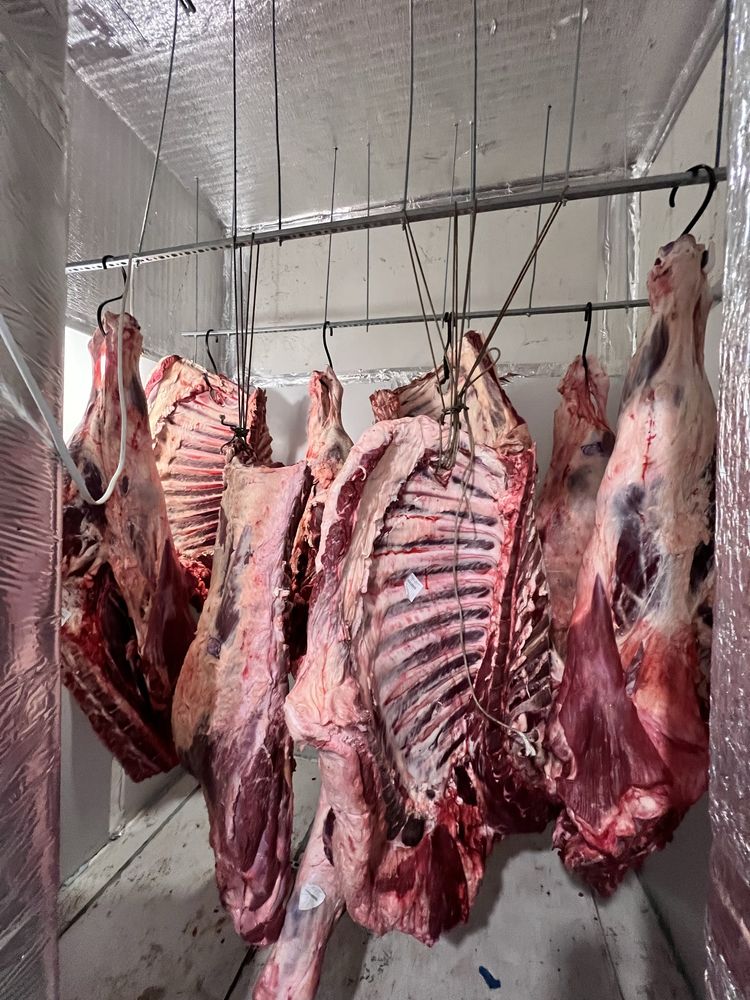 Особуко, яловичина, стейки, блек ангус, рібай, томагавк, тібоун