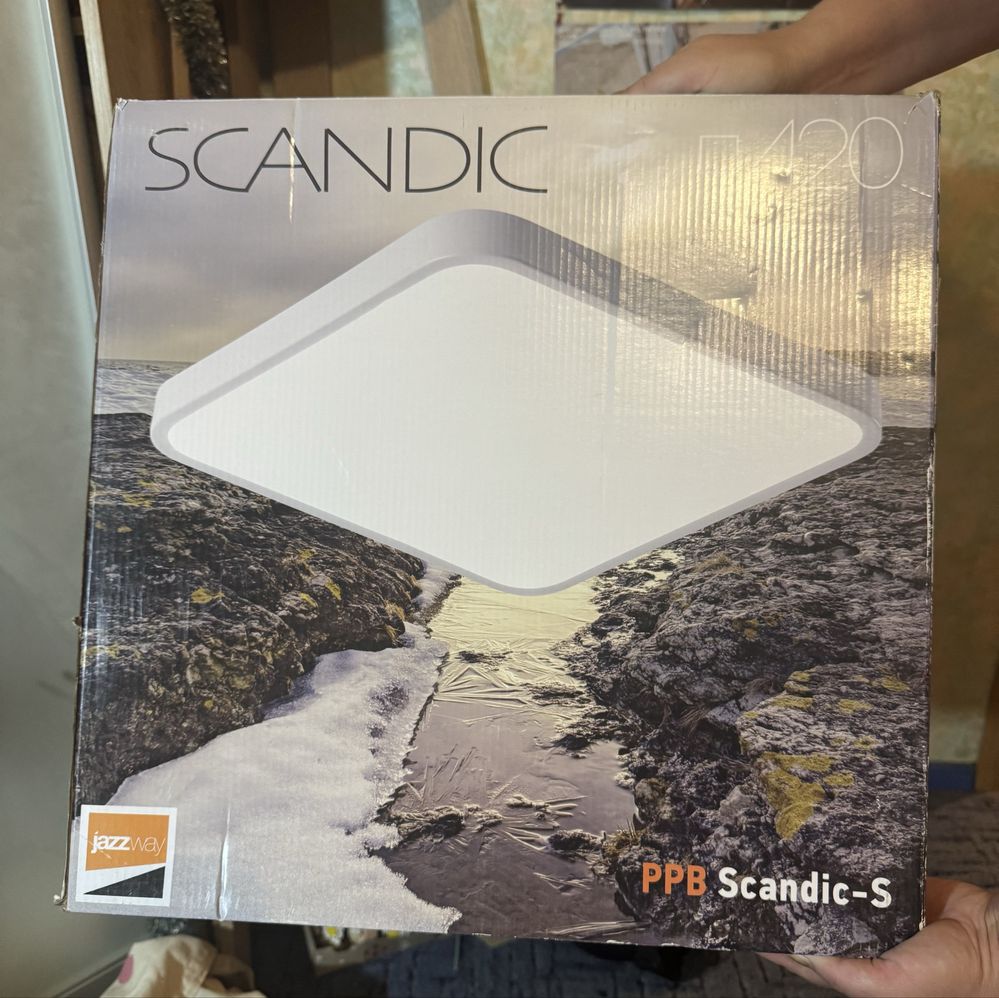 лампа для потолка Scandic