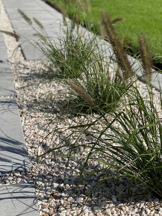 Ziemia pod iglaki , ziemia do roślin kwaśnolubnych 50litrów