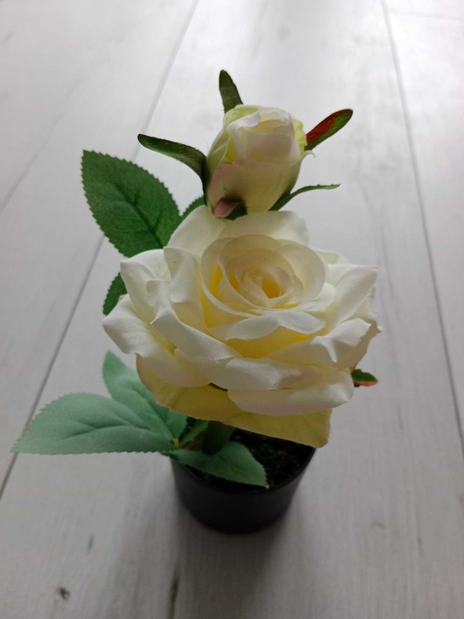 Róża sztuczna biała kwiat w doniczce 24 cm