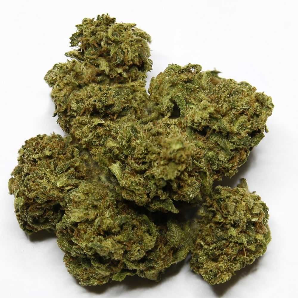 10 Gram White Widow 49% Susz Konopny CBD THC MOCNY 10G