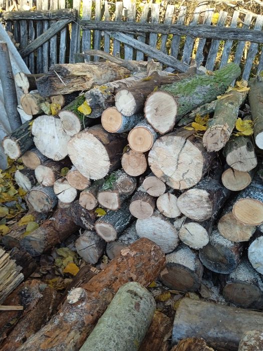 Drewno opałowe sprzedam