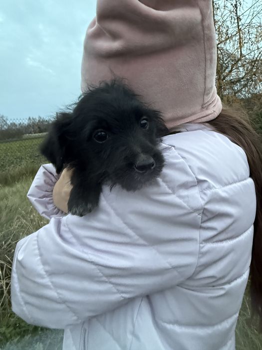 Oddam za darmo .Łodzkie