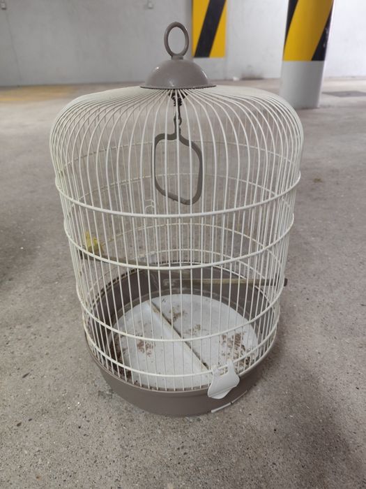 Gaiola para pássaro