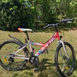 Rower ctm willy 24