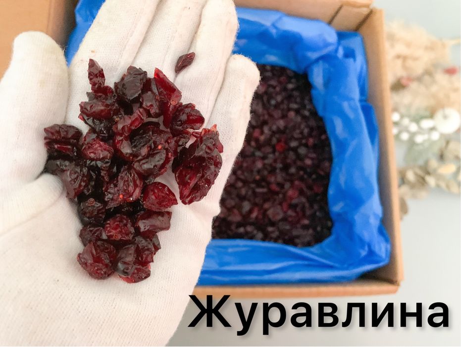 Журавлина в’ялена Америка. Гурт/роздріб. Свіжа, соковита, крупна