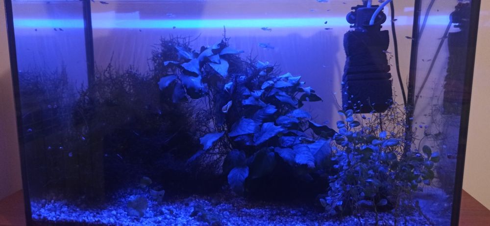 Akwarium Aquael 72 litry zestaw