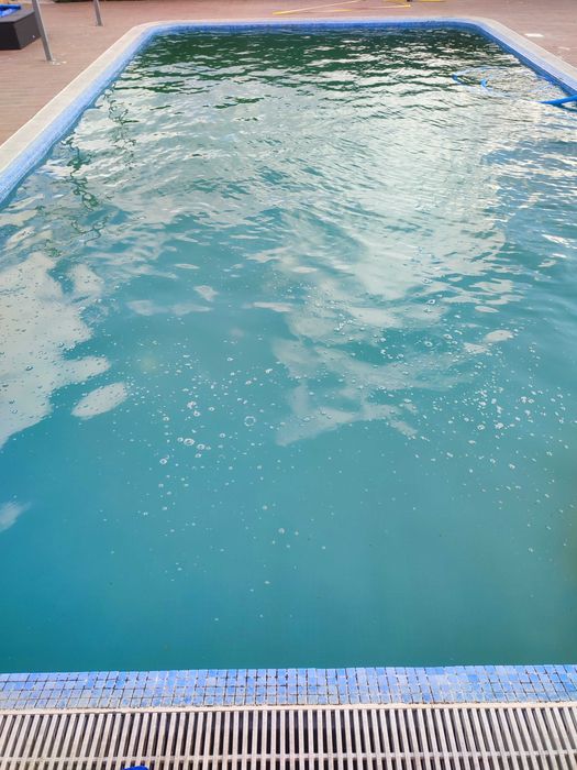 Serviço de jardinagem