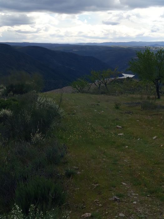 Terreno rústico em Moncorvo