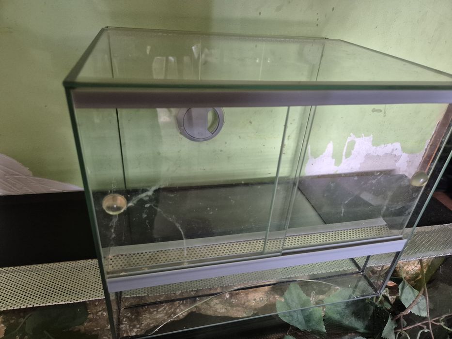 Terarium gekon kameleon agama