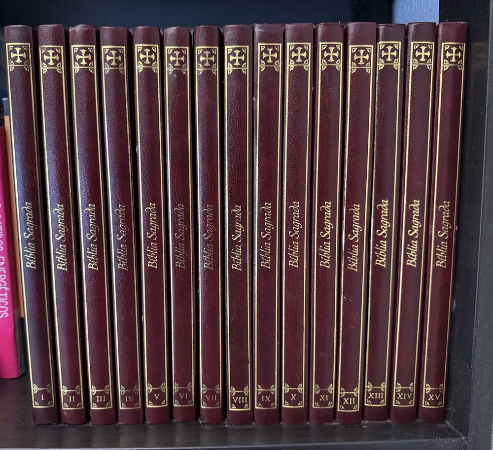 Biblia Sagrada (ilustrada)