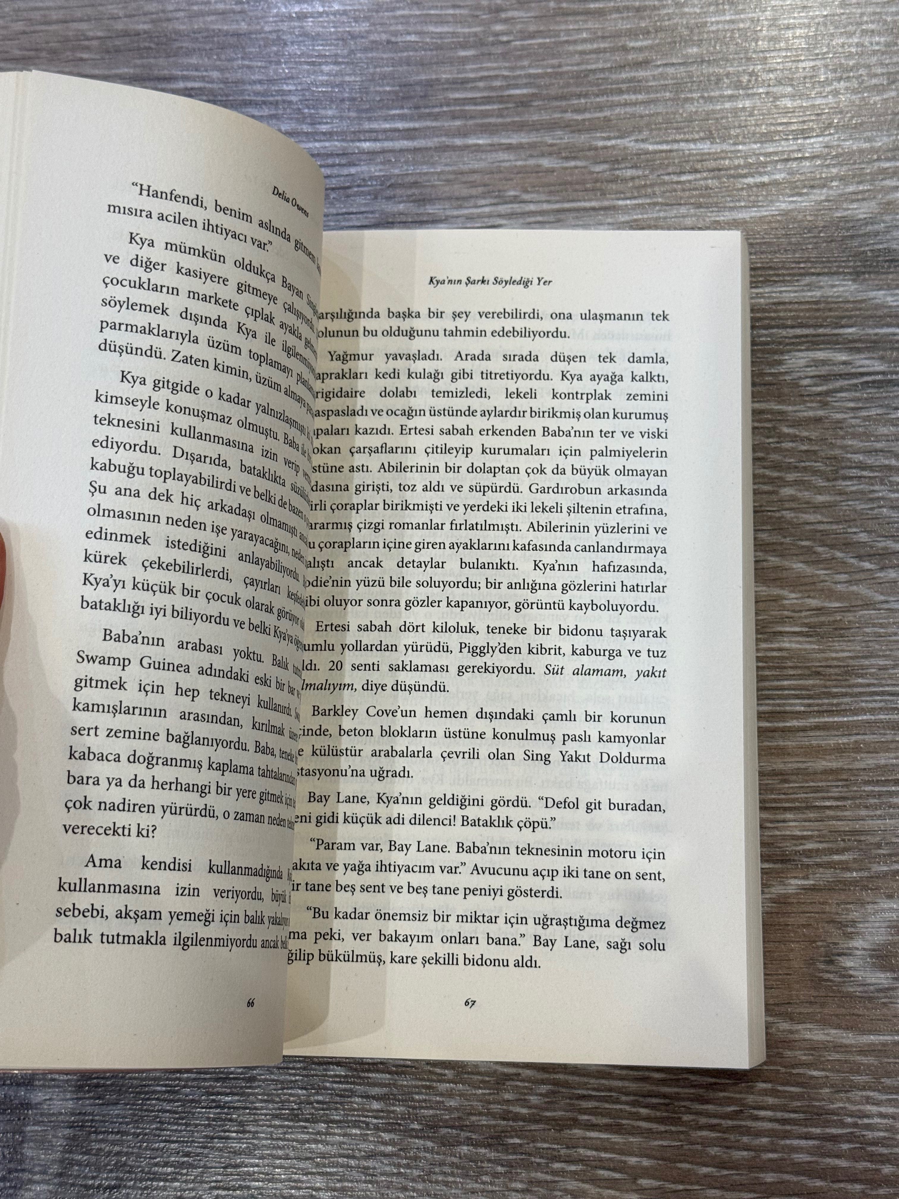 Там, де співають раки турецькою мовою Türkçe kitap