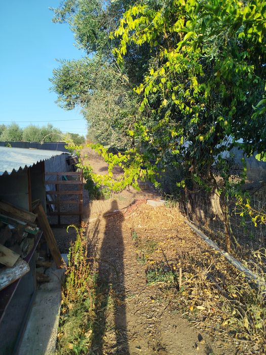 Moradia independente pronta a habitar