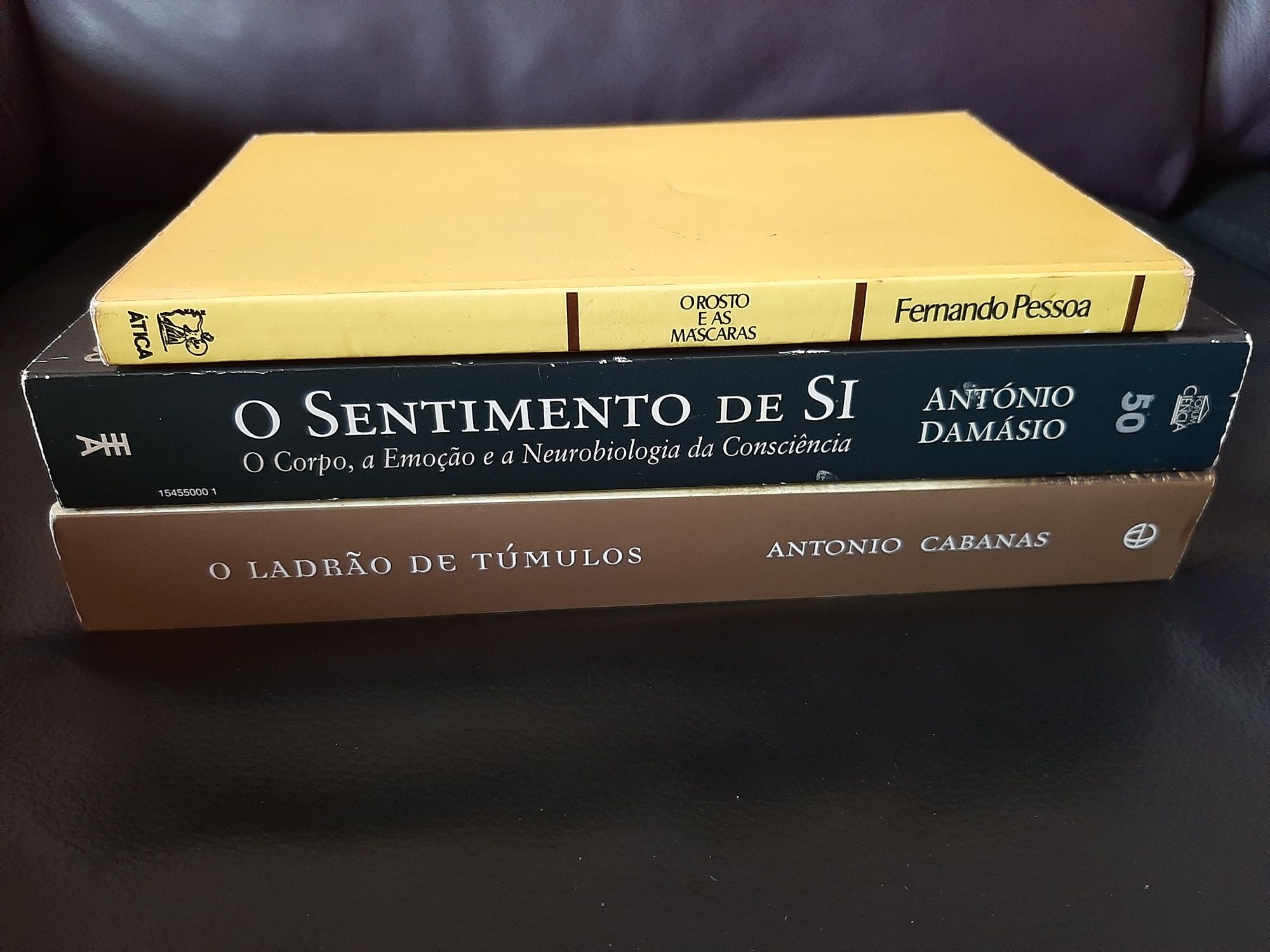 António Damásio  Cabanas sentimentos Fernando Pessoa Rosto e máscaras