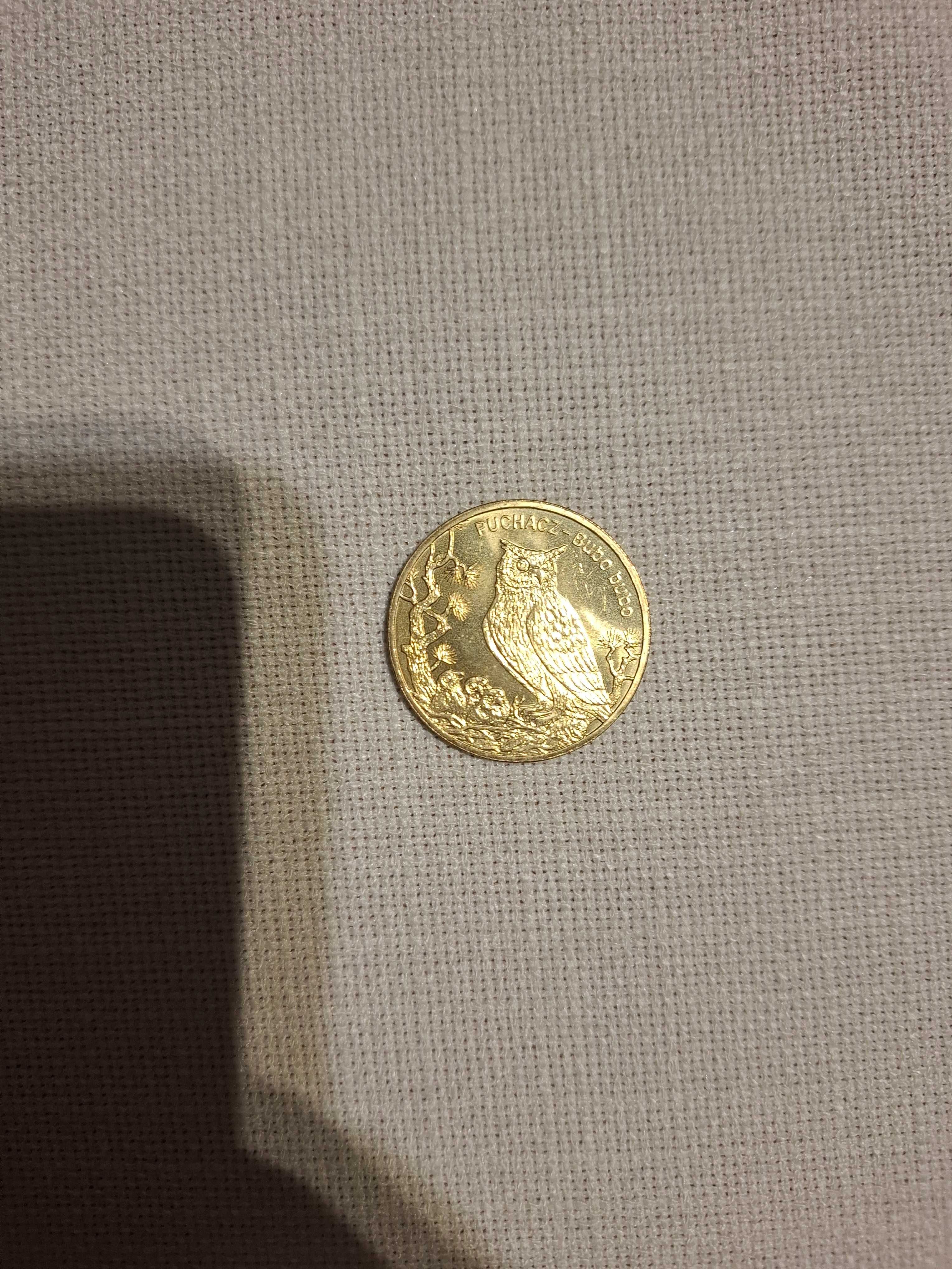 Moneta 2zł Puchacz 2005