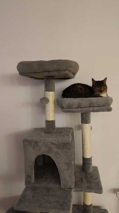 •PIĘKNY NOWY• Drapak Wysoki 180cm Domek Budka Legowisko