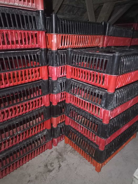 Klatki dla drobiu skrzynki do kur ptaków transportery