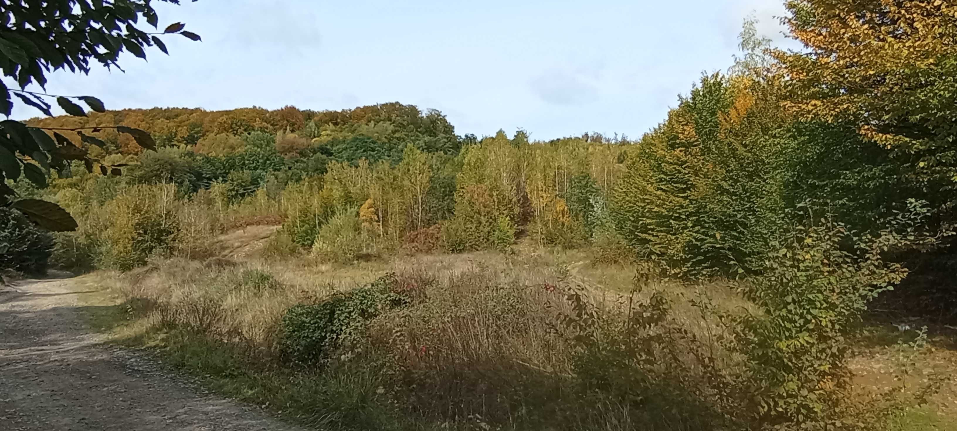 Продаж ділянки у Колиби Поляна Закарпатьской