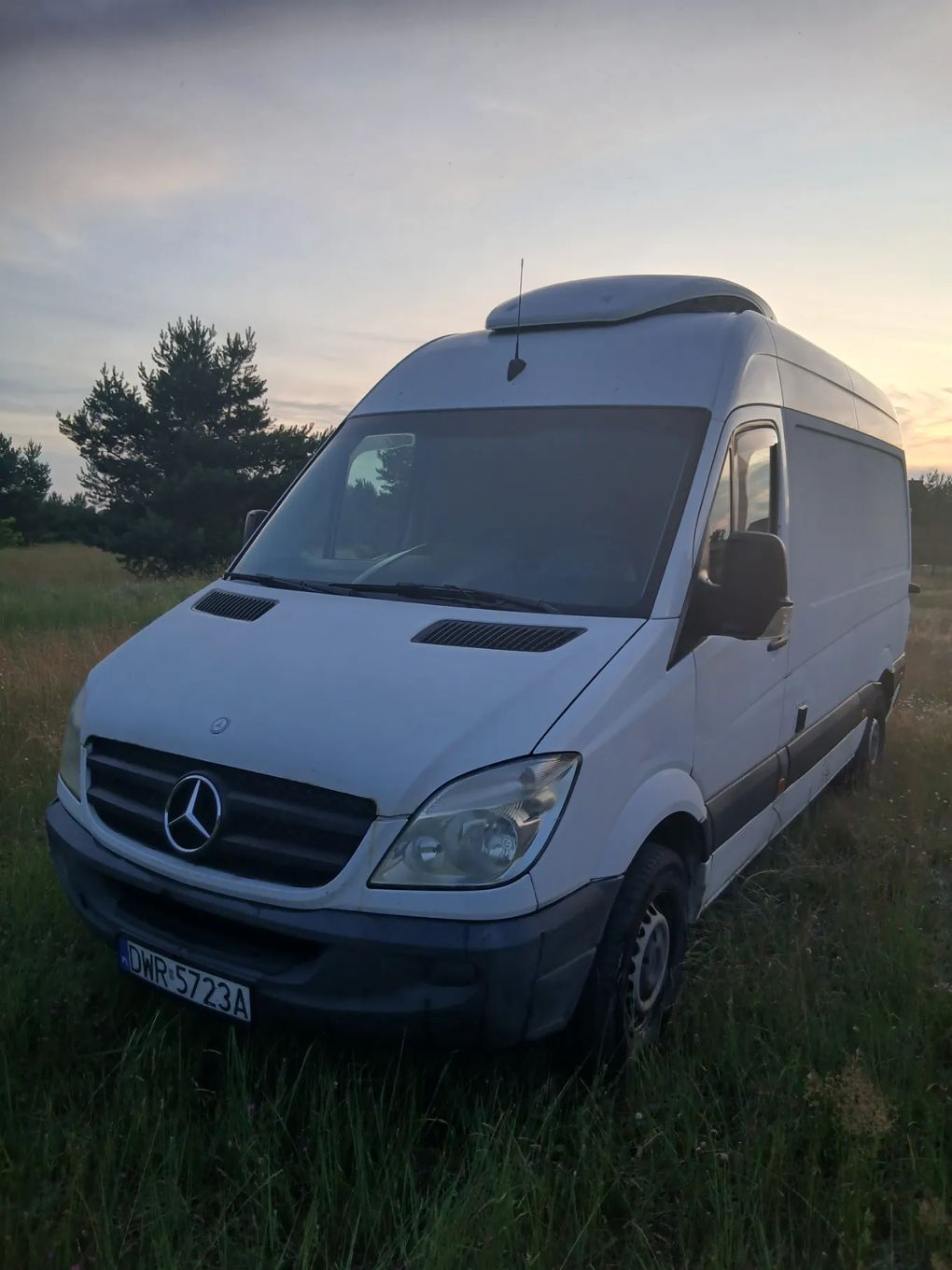 Mercedes-Benz Sprinter  Mercedes Sprinter 316CDI Chłodnia Kerstner 230V