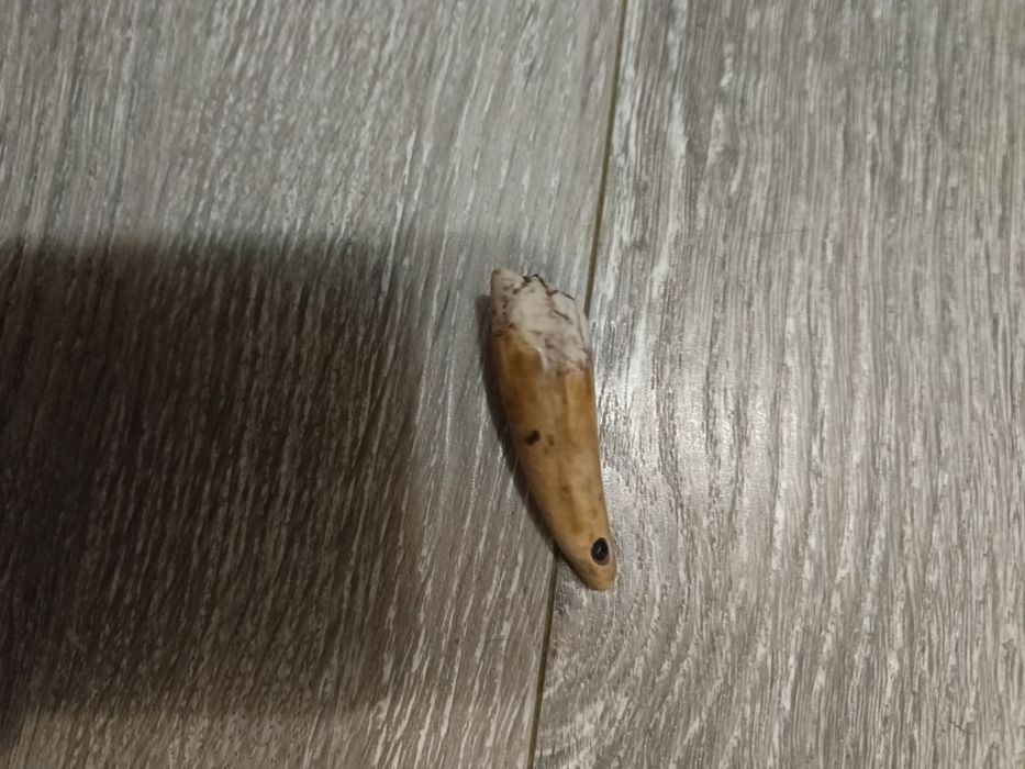 Темляк з рога оленя .нецкі
Ручна робота брилок з кості
Ручна робота бр