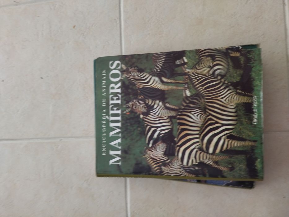 Enciclopédia animais mamíferos e aves