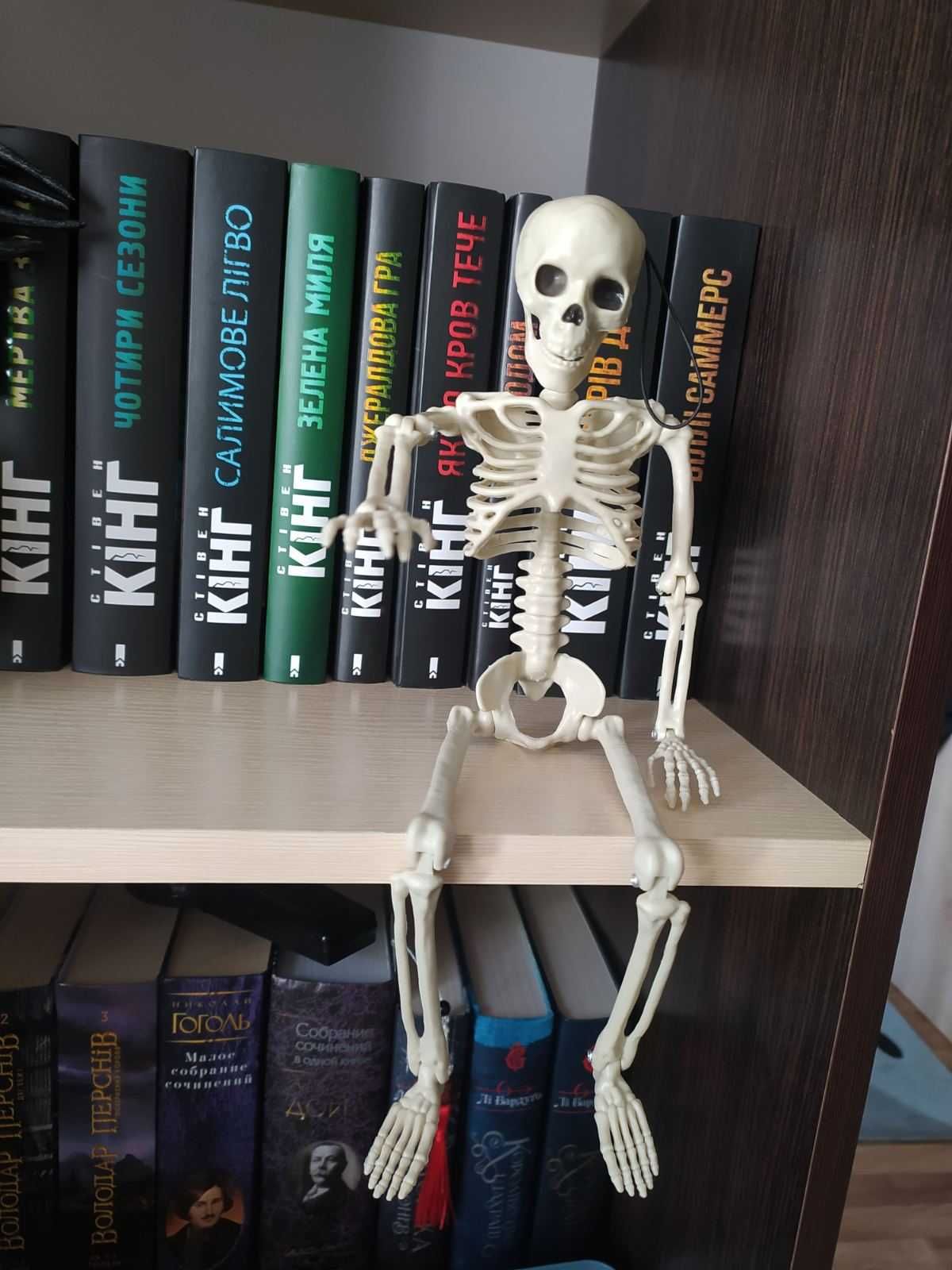 Круто  игрушка скелет подвижная модель человека 40см шикарный