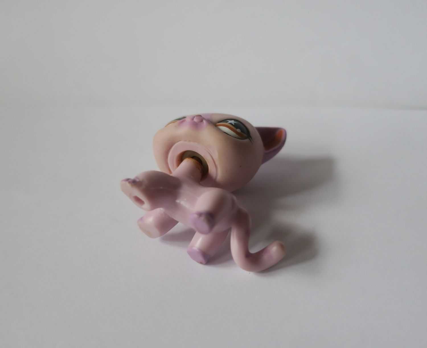 Kot shorthair littlest pet shop kotek