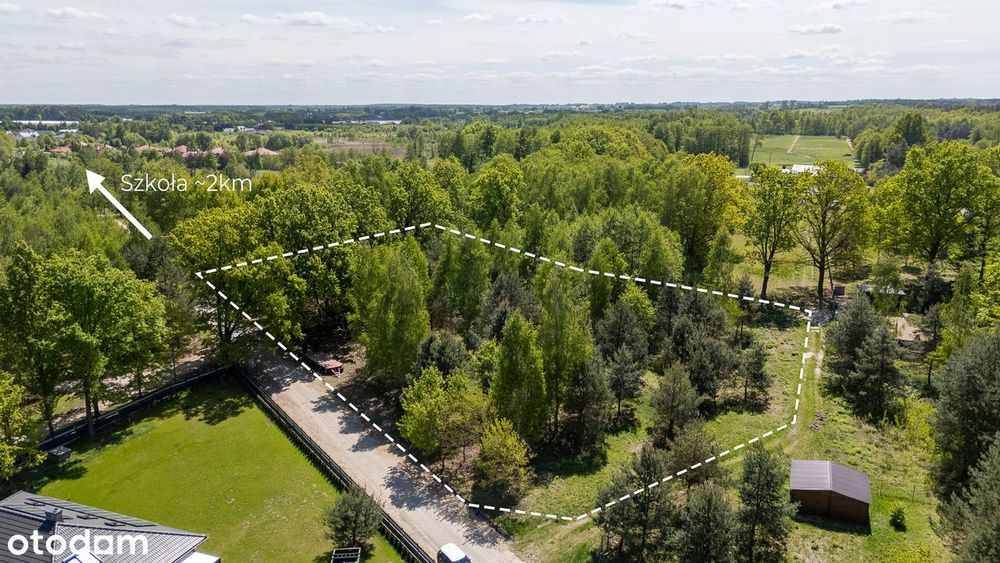 Duża działka budowlana  z dorosłymi drzewami