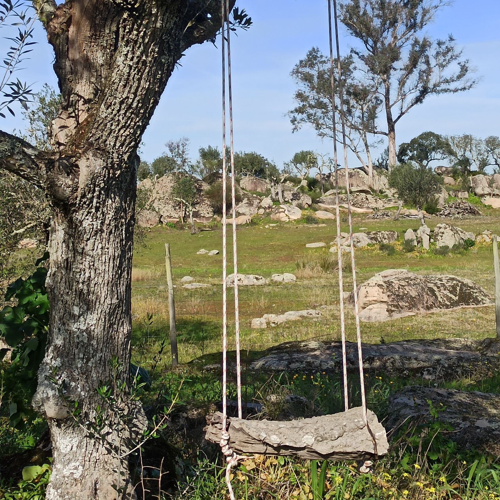 Monte alentejano