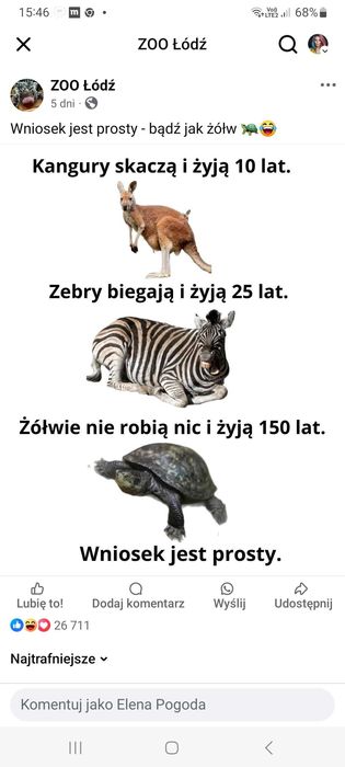 Masaże :klasyczny,relaksacyjny, kamieniami,sportowy