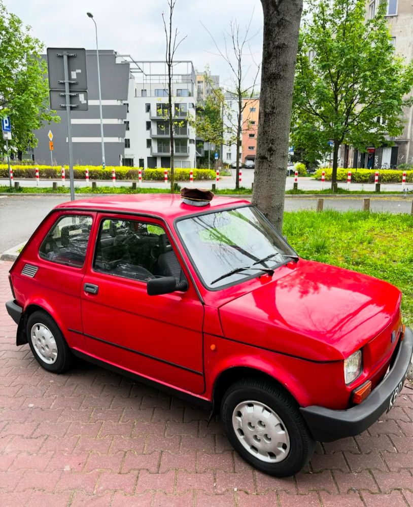 Maluch 126p elegant