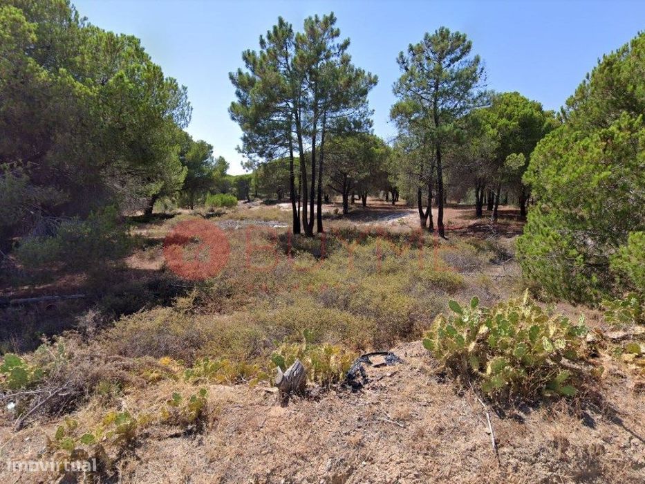 Terreno - Almancil 15 000 m2