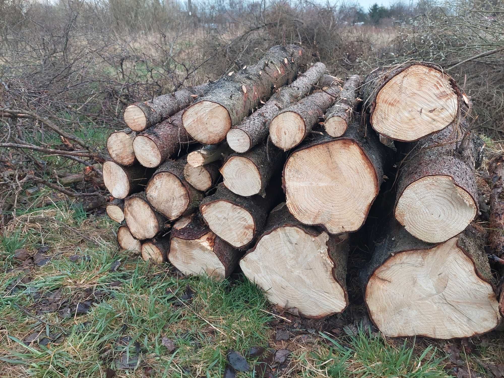 Drewno świerkowe i wierzbowe opał