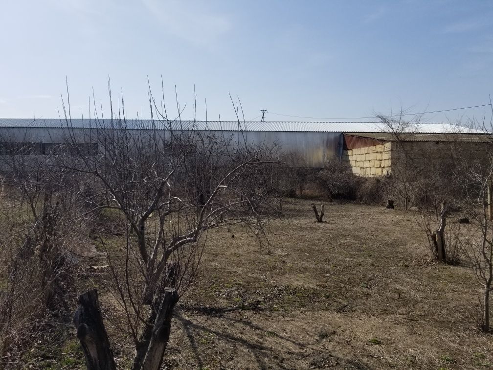 Частный Дом в пригороде