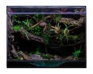 Terrarium tropikalne 40x40x60