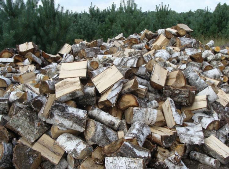 Drewno Opałowe/Kominkowe/Gotowe długości od 25 cm do 60cm/Transport!!