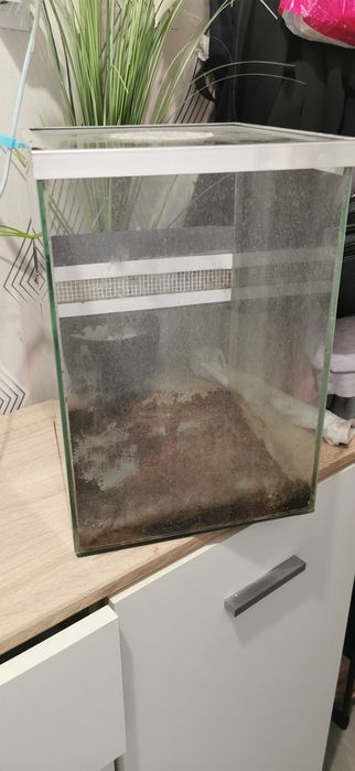 Akwarium terrarium