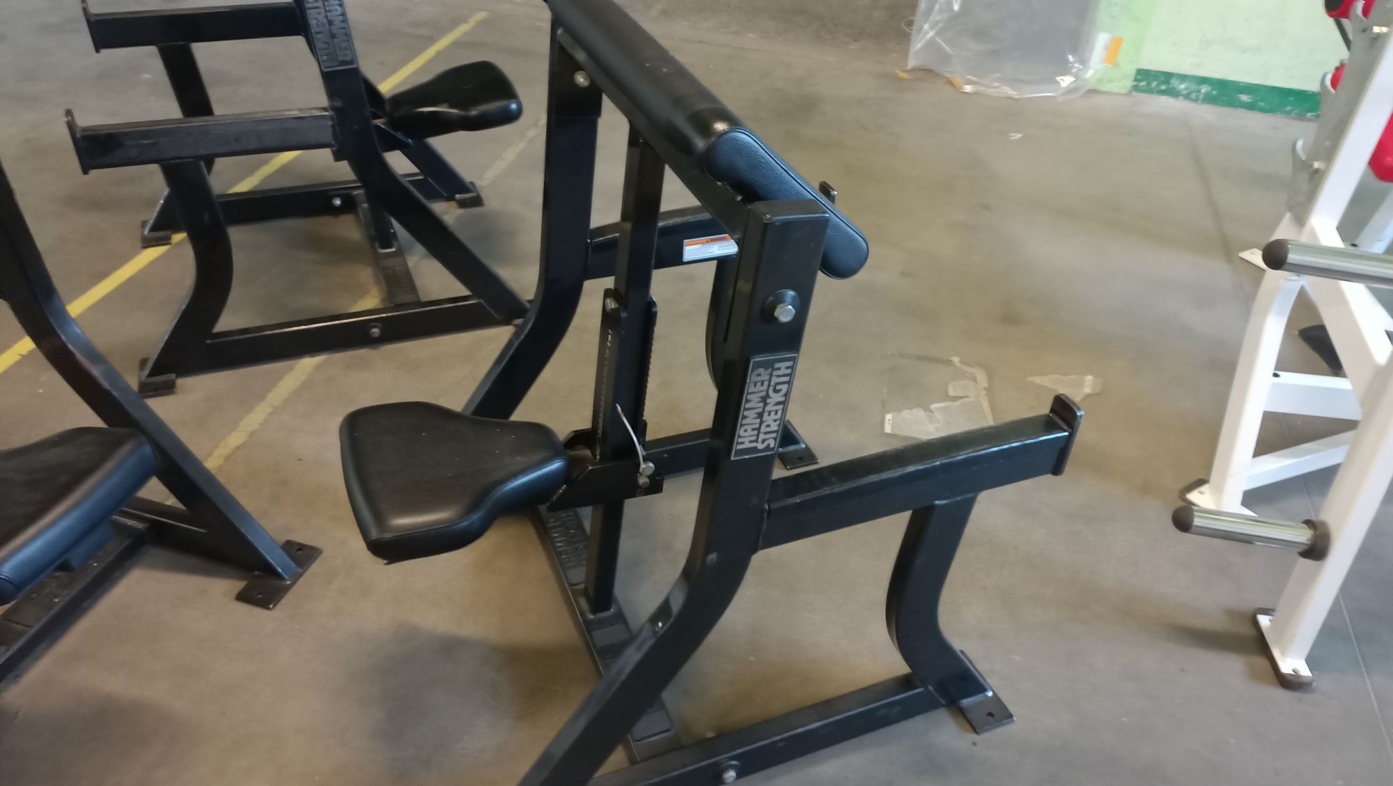 Modlitewnik hammer strength arm curl ławka Scott-a biceps hamer