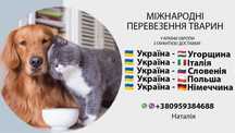 Перевозка животных