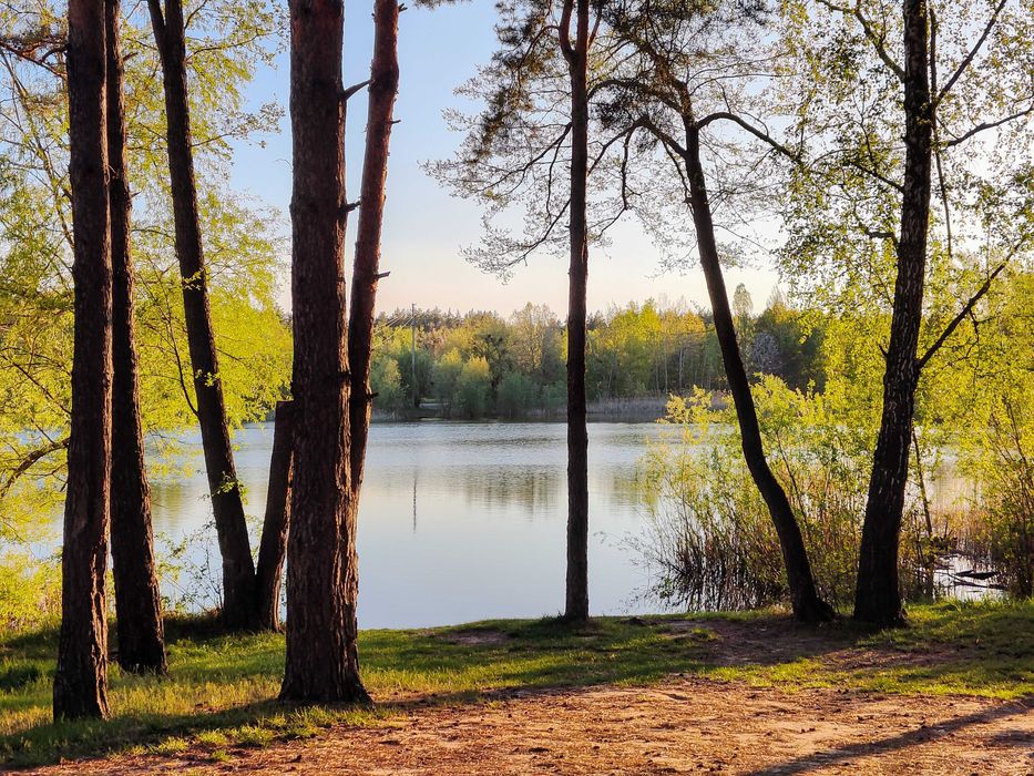 Терміново! Ділянка 9.5 сот поруч з лісом під модульний буд | Дмитрівка