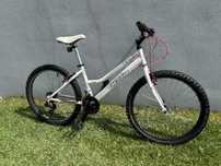 Bicicleta montanha