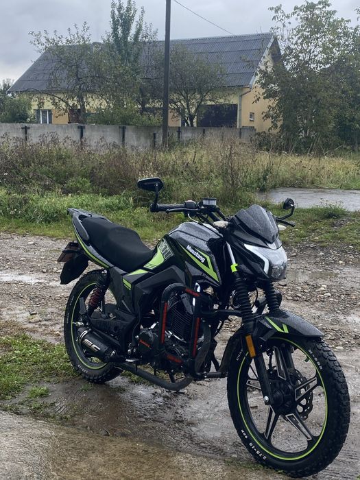 Musstang fortuna 250