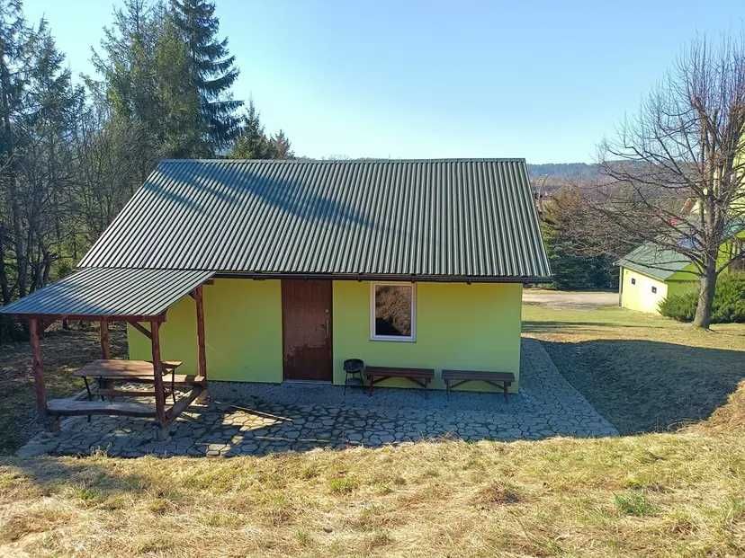 Domki letniskowe "Zielony Bukowiec" Bieszczady Noclegi